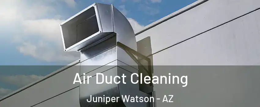 Air Duct Cleaning Juniper Watson - AZ