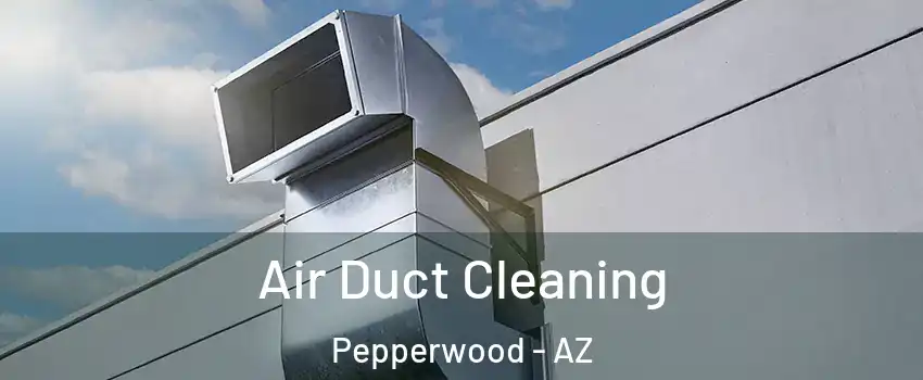 Air Duct Cleaning Pepperwood - AZ