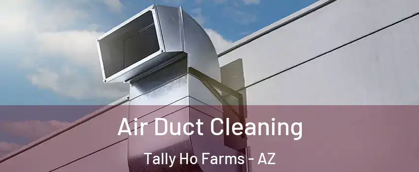 Air Duct Cleaning Tally Ho Farms - AZ