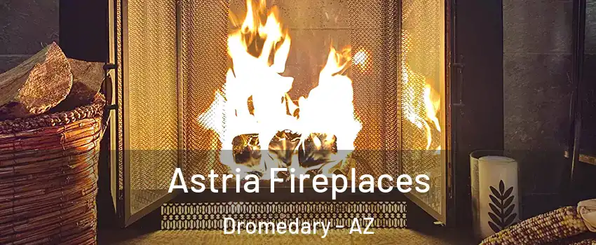 Astria Fireplaces Dromedary - AZ