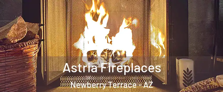 Astria Fireplaces Newberry Terrace - AZ