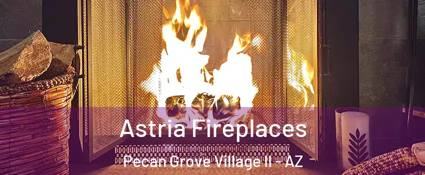 Astria Fireplaces Pecan Grove Village II - AZ