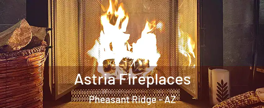 Astria Fireplaces Pheasant Ridge - AZ