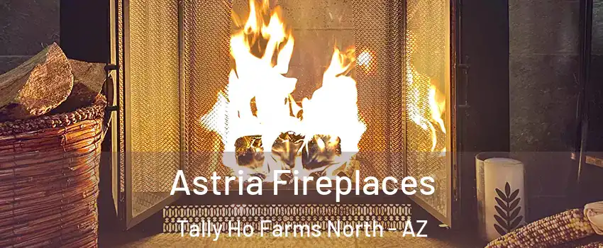 Astria Fireplaces Tally Ho Farms North - AZ