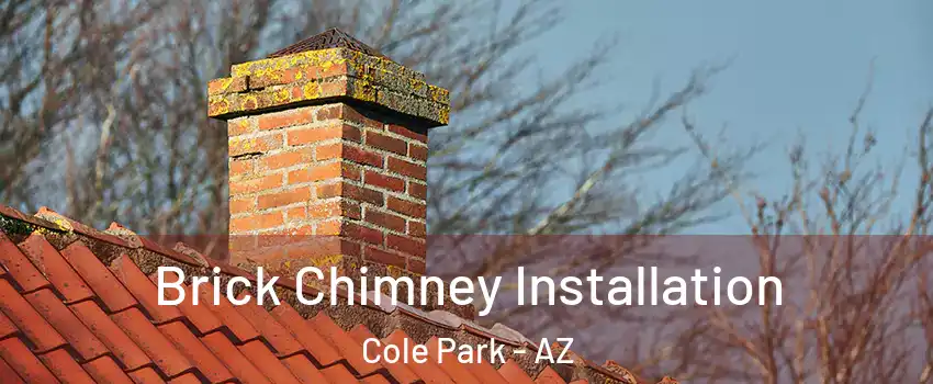 Brick Chimney Installation Cole Park - AZ