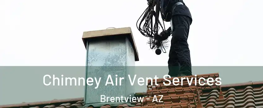 Chimney Air Vent Services Brentview - AZ
