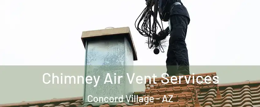 Chimney Air Vent Services Concord Village - AZ