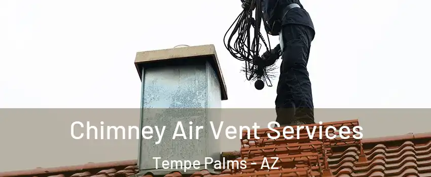 Chimney Air Vent Services Tempe Palms - AZ