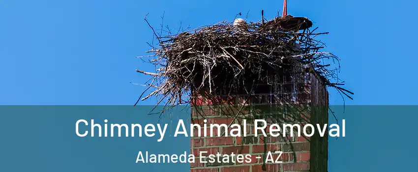 Chimney Animal Removal Alameda Estates - AZ