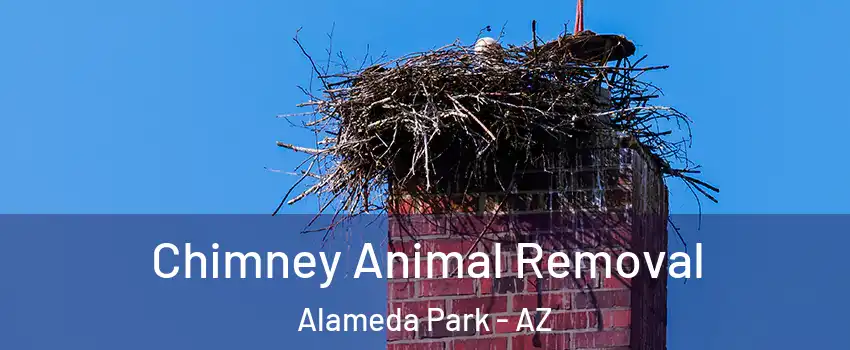 Chimney Animal Removal Alameda Park - AZ