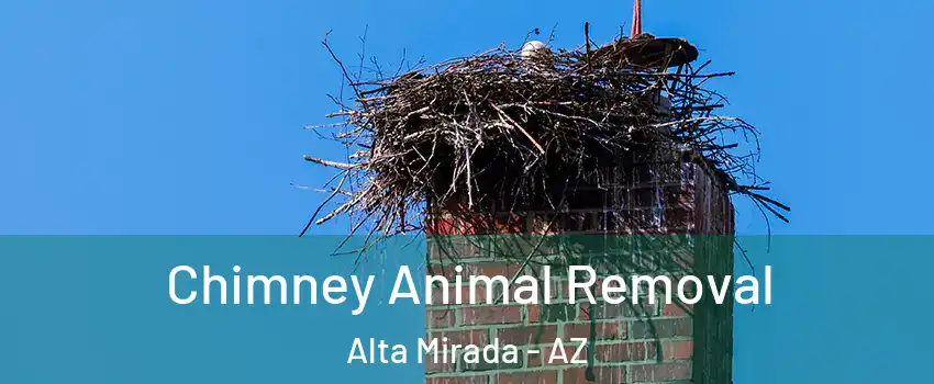 Chimney Animal Removal Alta Mirada - AZ