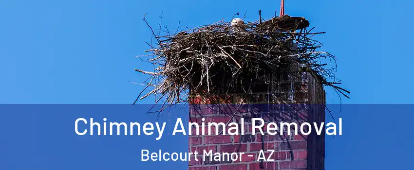 Chimney Animal Removal Belcourt Manor - AZ