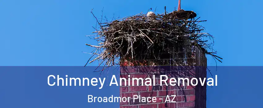 Chimney Animal Removal Broadmor Place - AZ