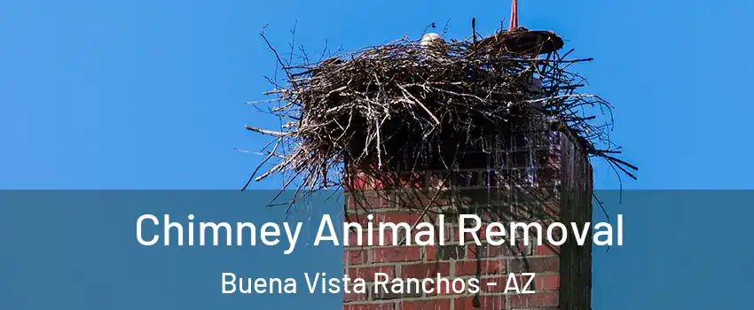 Chimney Animal Removal Buena Vista Ranchos - AZ