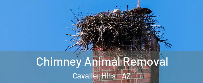 Chimney Animal Removal Cavalier Hills - AZ