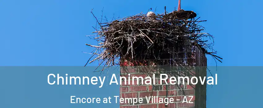Chimney Animal Removal Encore at Tempe Village - AZ