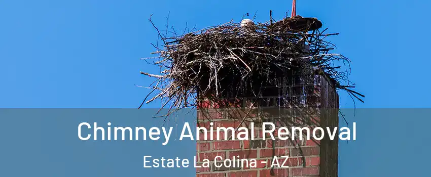 Chimney Animal Removal Estate La Colina - AZ