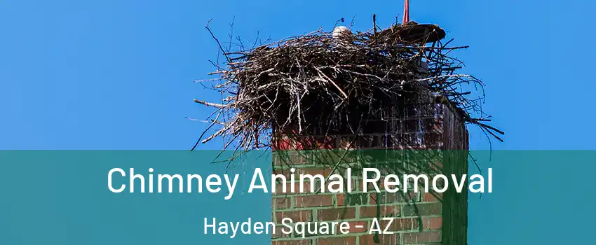 Chimney Animal Removal Hayden Square - AZ