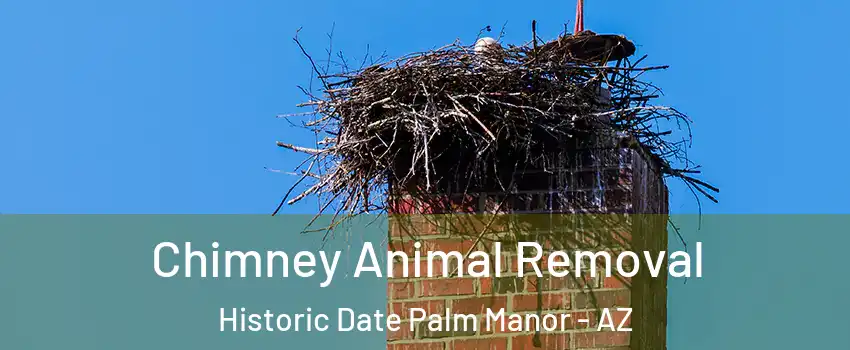 Chimney Animal Removal Historic Date Palm Manor - AZ