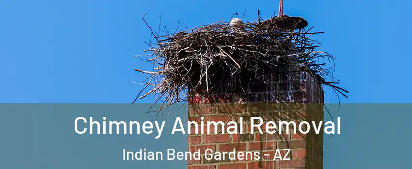 Chimney Animal Removal Indian Bend Gardens - AZ