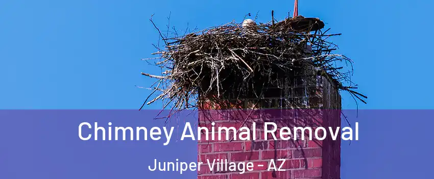 Chimney Animal Removal Juniper Village - AZ