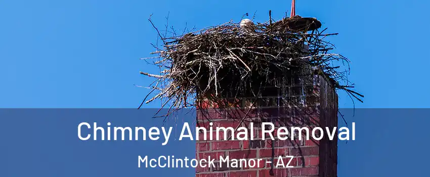Chimney Animal Removal McClintock Manor - AZ