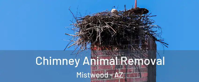 Chimney Animal Removal Mistwood - AZ