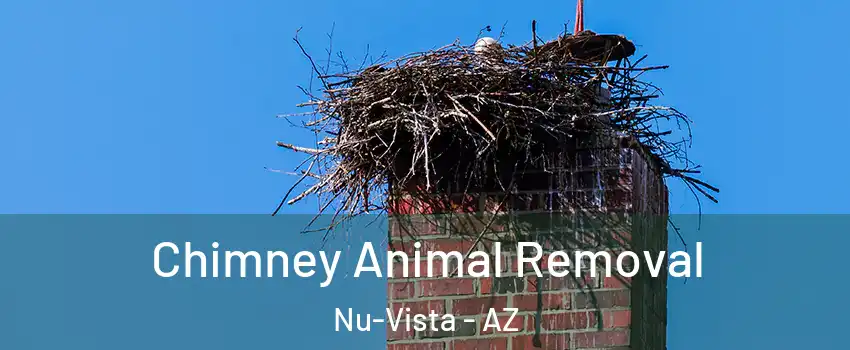 Chimney Animal Removal Nu-Vista - AZ