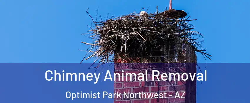 Chimney Animal Removal Optimist Park Northwest - AZ