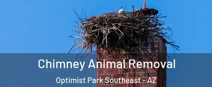 Chimney Animal Removal Optimist Park Southeast - AZ
