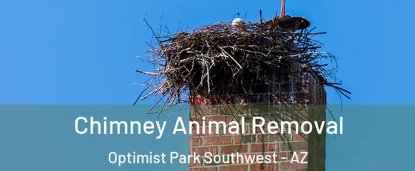 Chimney Animal Removal Optimist Park Southwest - AZ