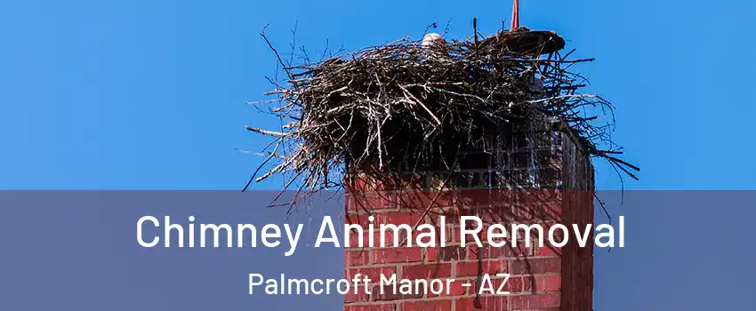 Chimney Animal Removal Palmcroft Manor - AZ
