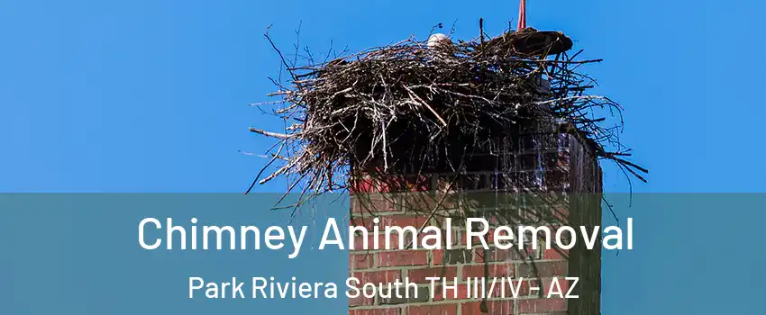Chimney Animal Removal Park Riviera South TH III/IV - AZ