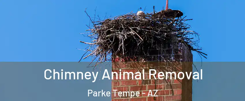 Chimney Animal Removal Parke Tempe - AZ