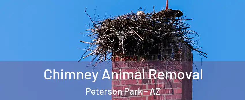 Chimney Animal Removal Peterson Park - AZ