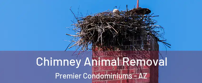 Chimney Animal Removal Premier Condominiums - AZ