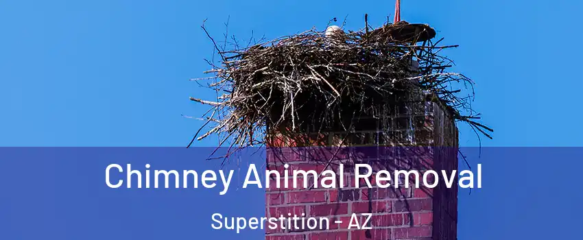 Chimney Animal Removal Superstition - AZ