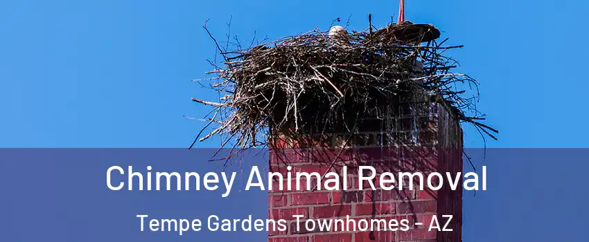 Chimney Animal Removal Tempe Gardens Townhomes - AZ