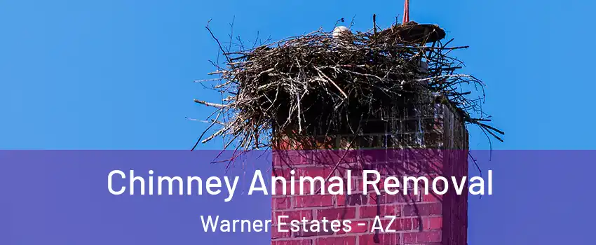 Chimney Animal Removal Warner Estates - AZ