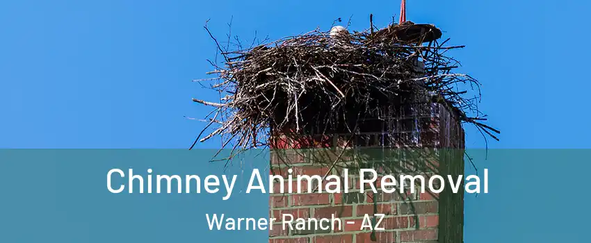 Chimney Animal Removal Warner Ranch - AZ