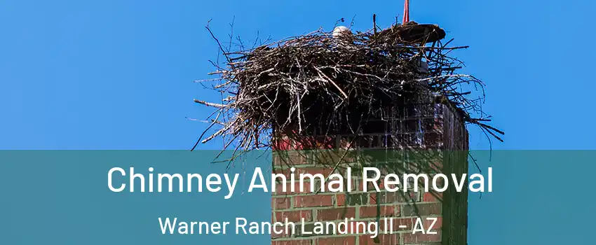 Chimney Animal Removal Warner Ranch Landing II - AZ