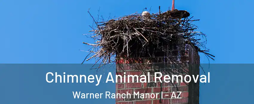 Chimney Animal Removal Warner Ranch Manor I - AZ