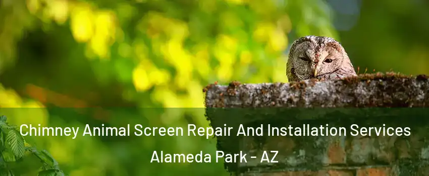 Chimney Animal Screen Repair And Installation Services Alameda Park - AZ