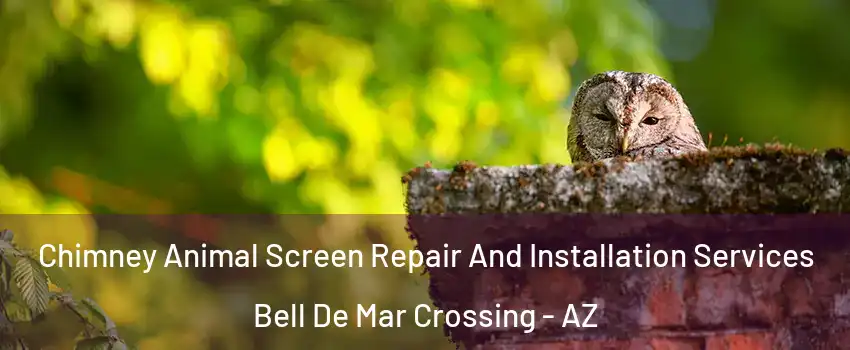 Chimney Animal Screen Repair And Installation Services Bell De Mar Crossing - AZ