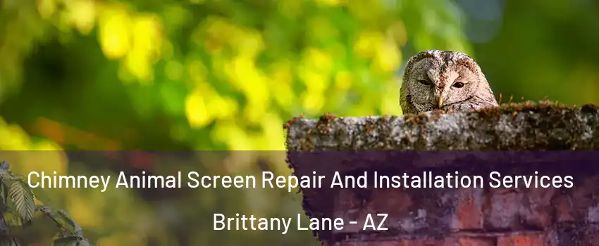 Chimney Animal Screen Repair And Installation Services Brittany Lane - AZ