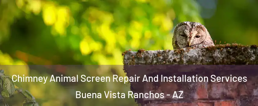 Chimney Animal Screen Repair And Installation Services Buena Vista Ranchos - AZ
