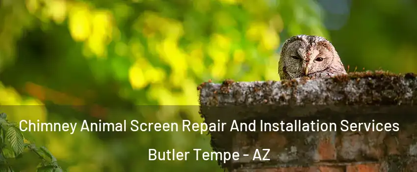 Chimney Animal Screen Repair And Installation Services Butler Tempe - AZ