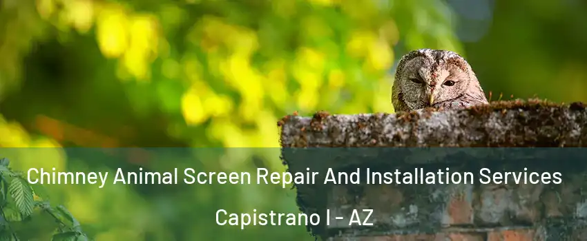 Chimney Animal Screen Repair And Installation Services Capistrano I - AZ