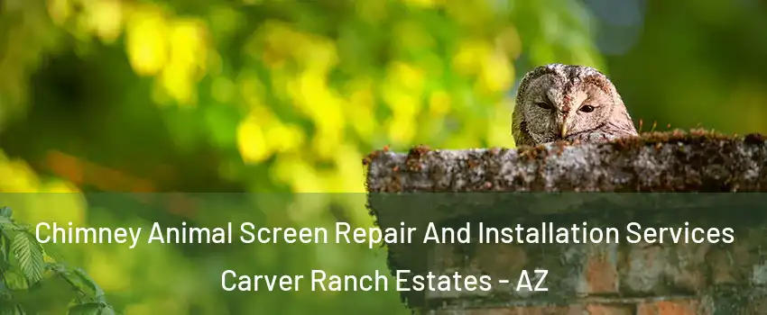 Chimney Animal Screen Repair And Installation Services Carver Ranch Estates - AZ
