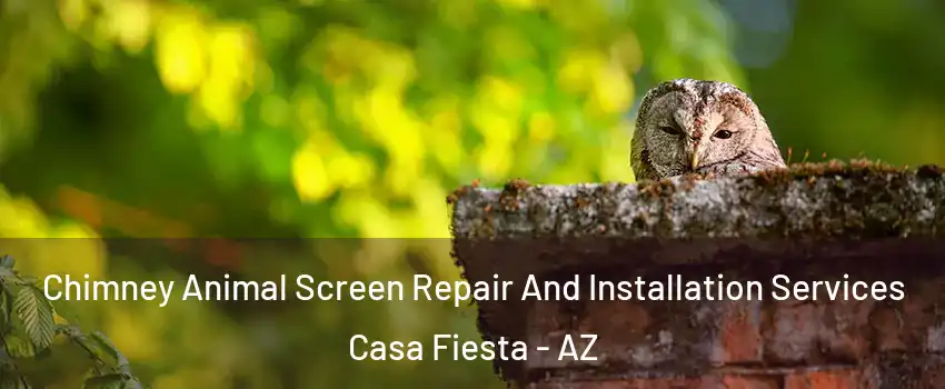 Chimney Animal Screen Repair And Installation Services Casa Fiesta - AZ